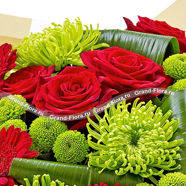 Великая красота